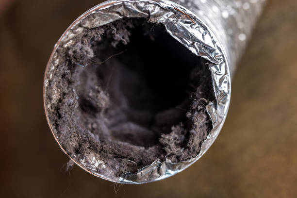 Best HVAC Air Duct Cleaning  in Asbury Park, NJ